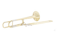 Wisemann DTB 280 Gold Wisemann DTB 280 Gold